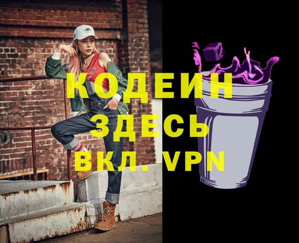амф Верхний Тагил