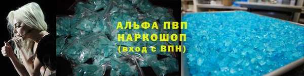 молекула духа Снежногорск