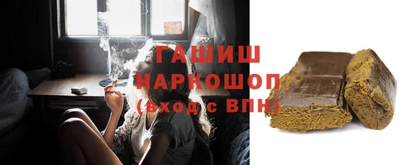 молекула духа Снежногорск