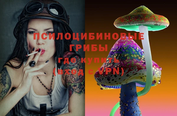 амф Верхний Тагил