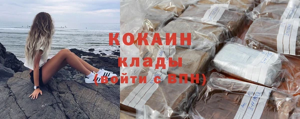 амф Верхний Тагил