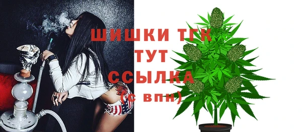 амф Верхний Тагил