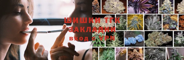 дживик Верея