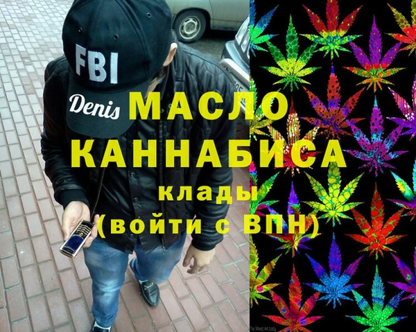 амф Верхний Тагил