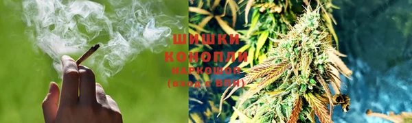дживик Верея