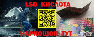 PSILOCYBIN Заволжье
