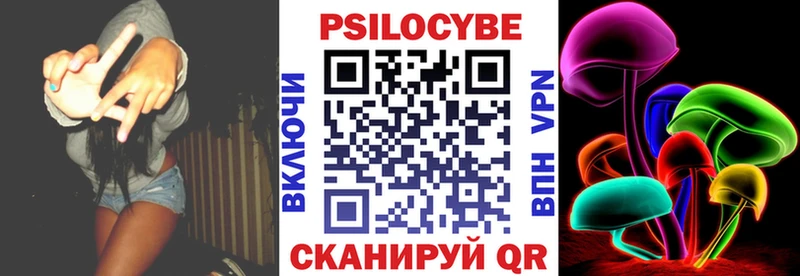 Галлюциногенные грибы Psilocybe  Глазов 