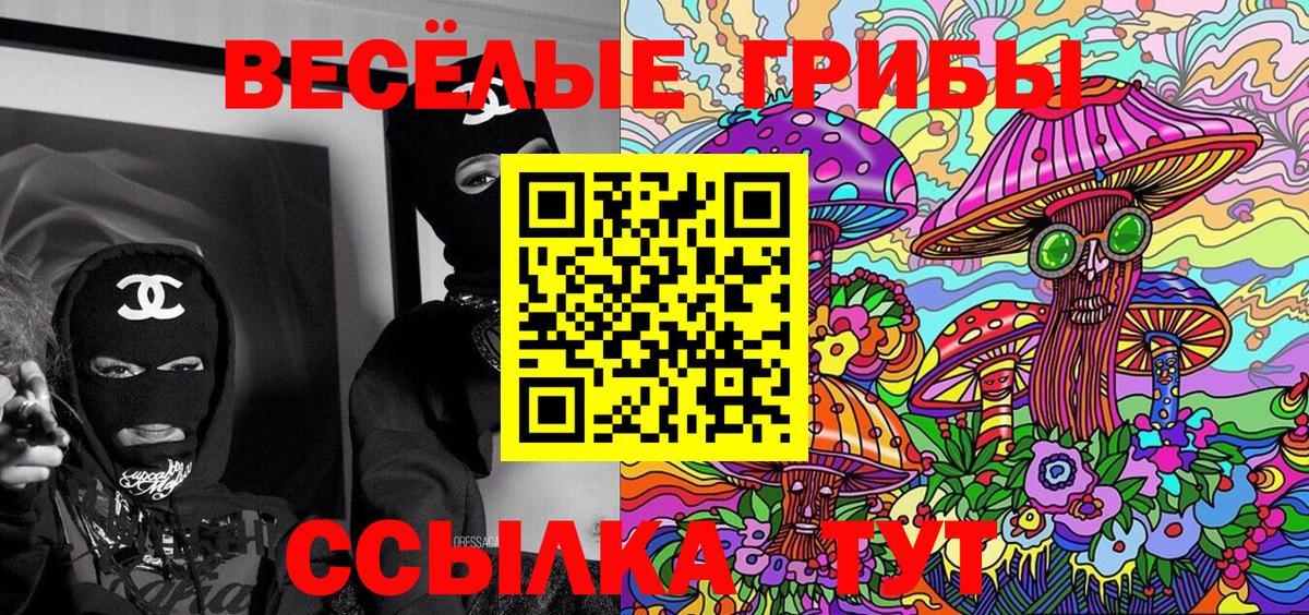 Псилоцибиновые грибы Psilocybine cubensis Глазов
