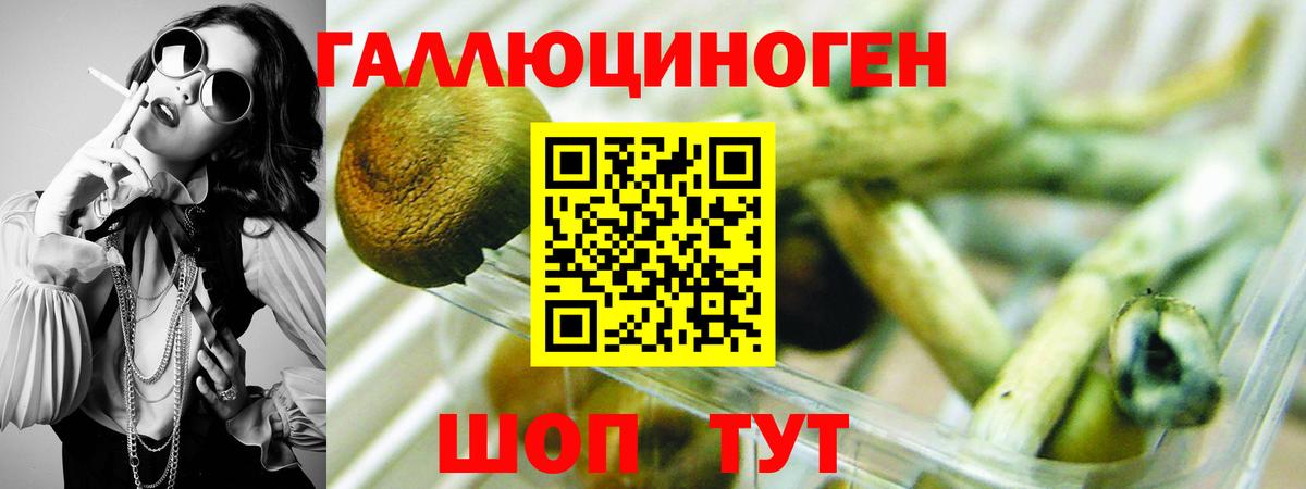 Глазов  Псилоцибиновые грибы мухоморы  Вход с VPN  Галлюциногенные грибы прущие грибы 